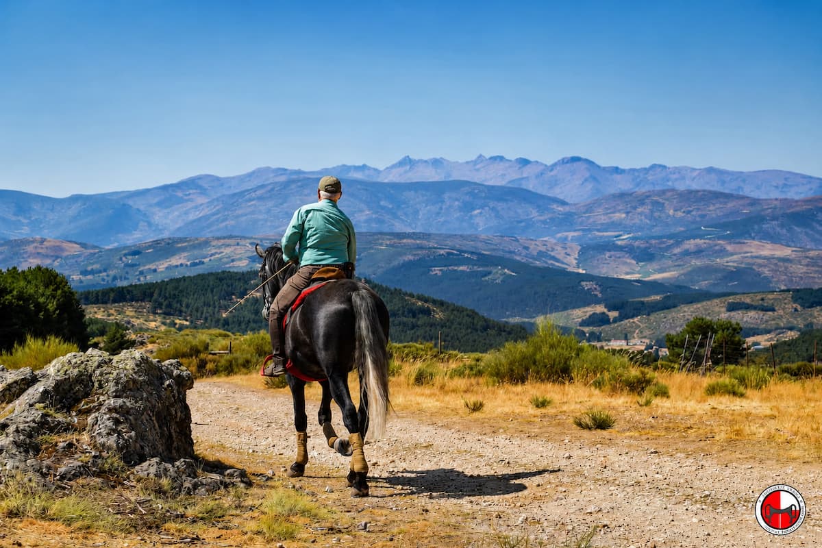 Riders discovering why to go on a horse riding holiday during a week-long trail in Spain.